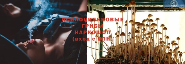 винт Балахна