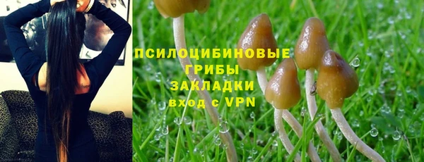 винт Балахна